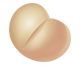 Coumadin